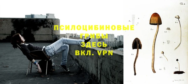 скорость mdpv Белокуриха