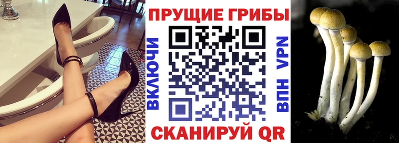 blacksprut ТОР  Вуктыл  Галлюциногенные грибы мухоморы 